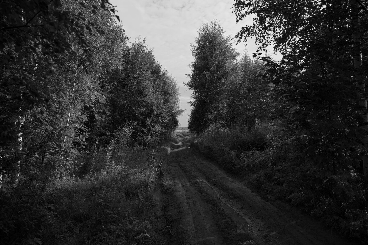 Название отсутствует - Денис Безногов