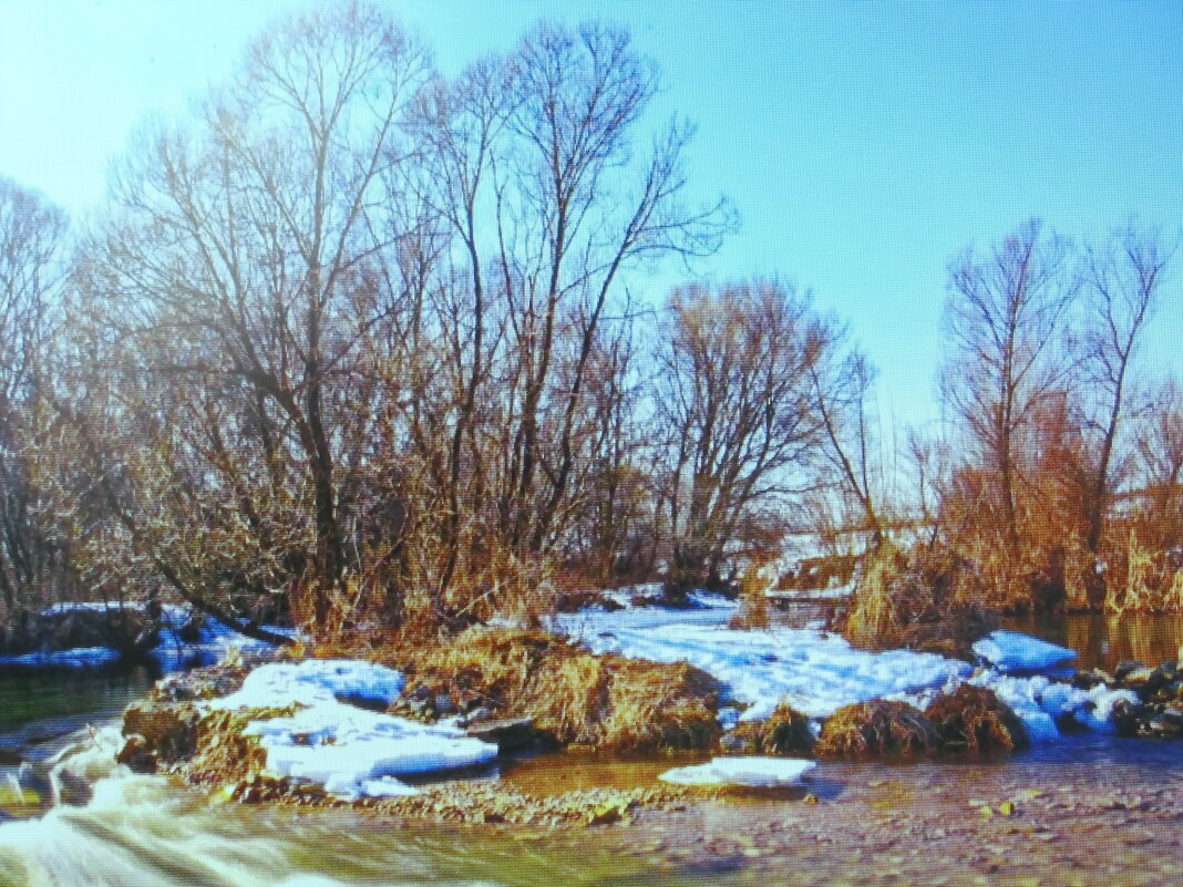 Весна - Людмила Смородинская