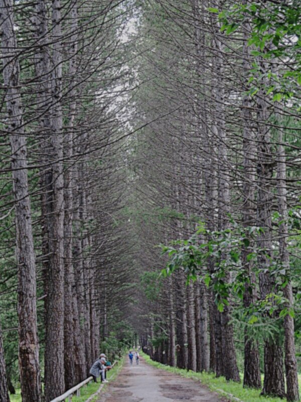 ПРО Екатеринбург - Елена Шаламова