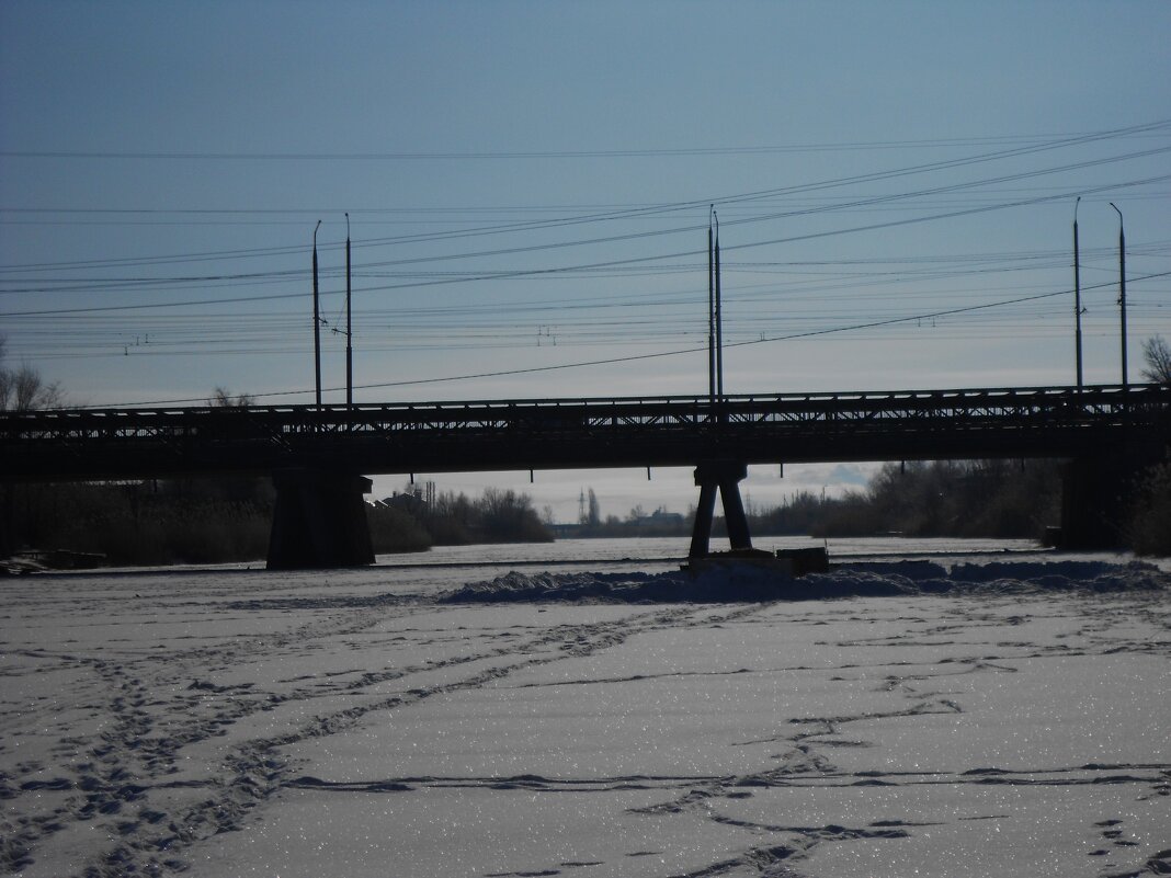 февраль - Елена Шаламова