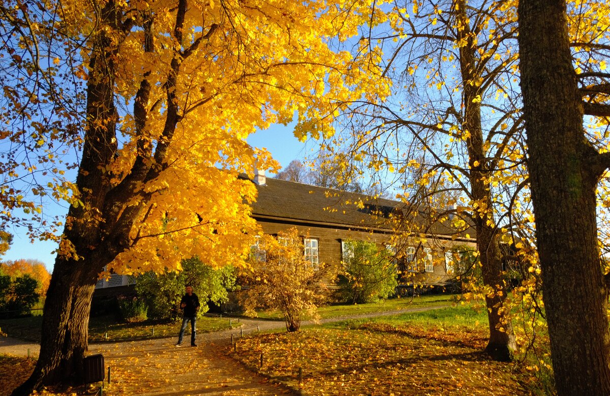 Золотая осень в усадьбе Тригорского - Олег Зоркий