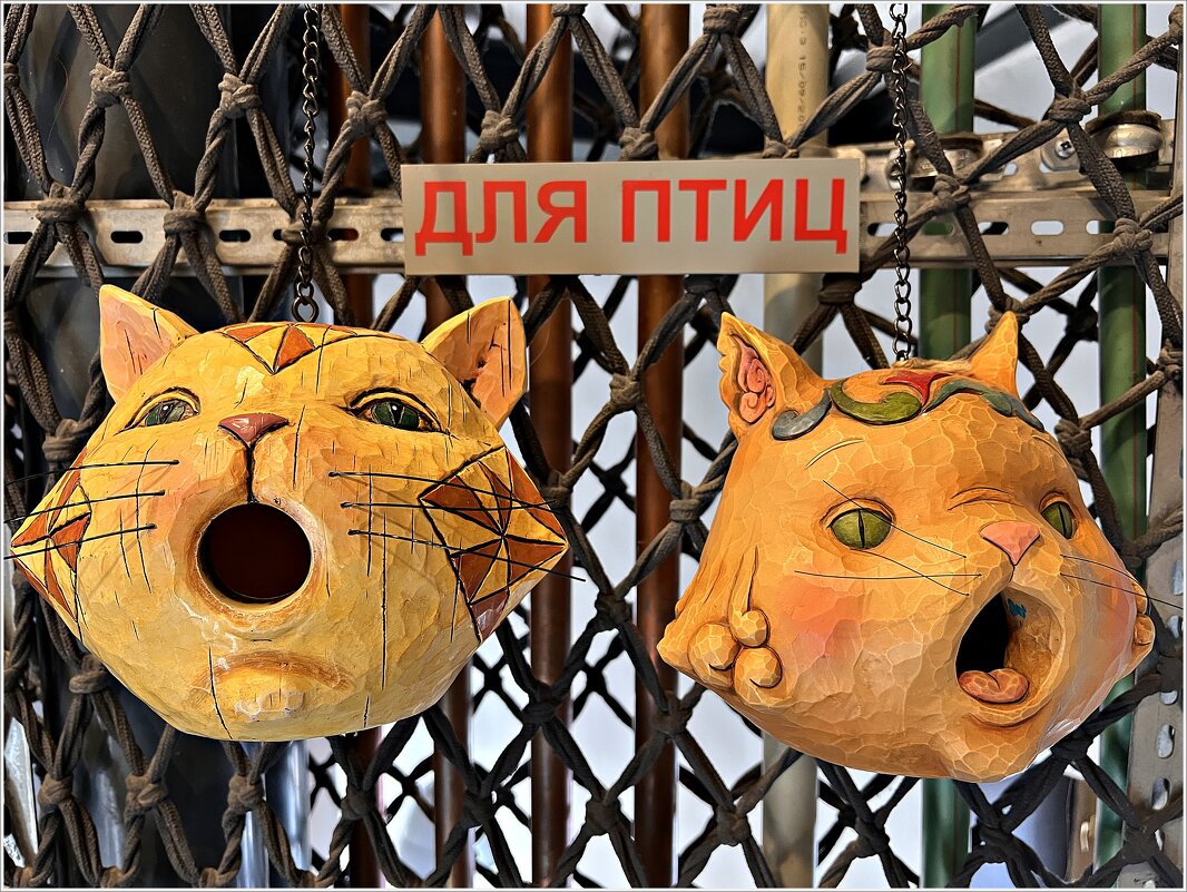 Для птиц. - Валерия Комова