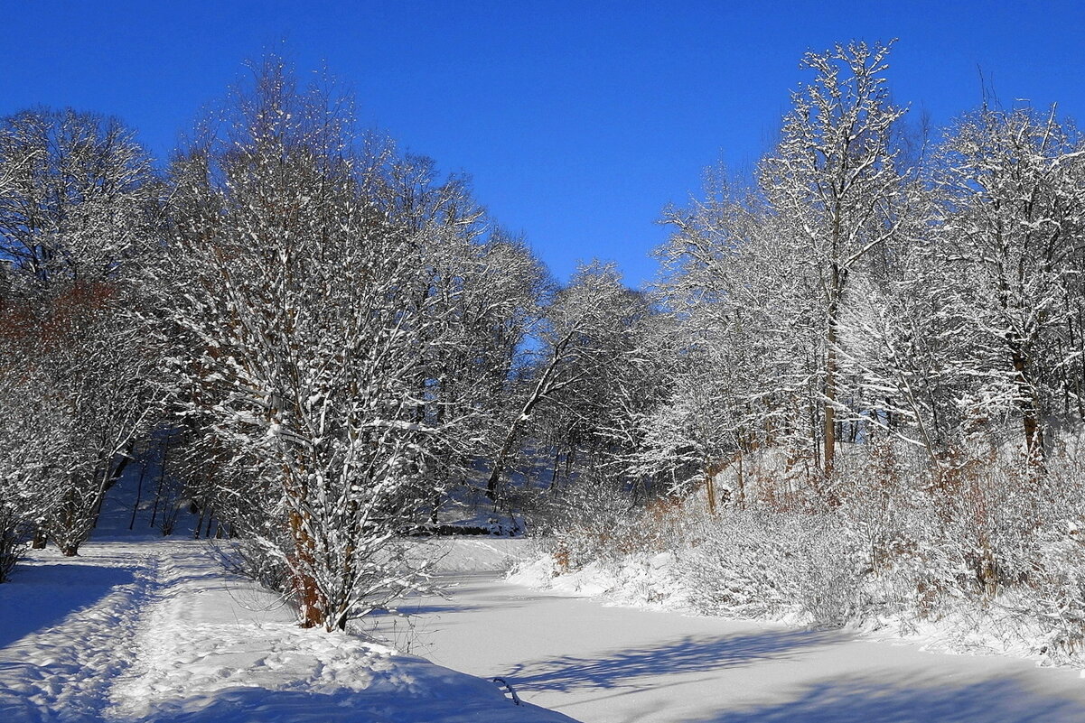 Февраль - Рита Симонова