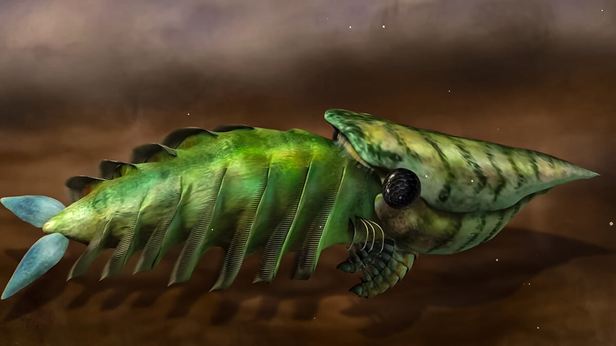 Эволюция - Aleksey Afonin