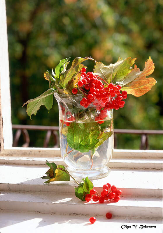 Калина - Ольга Бекетова