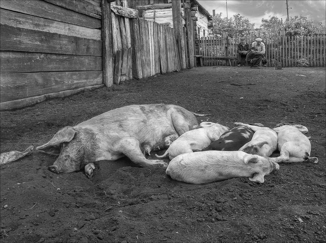 ПЛЯЖ - Александр Кустов ПЛЯЖ - Александр Кустов