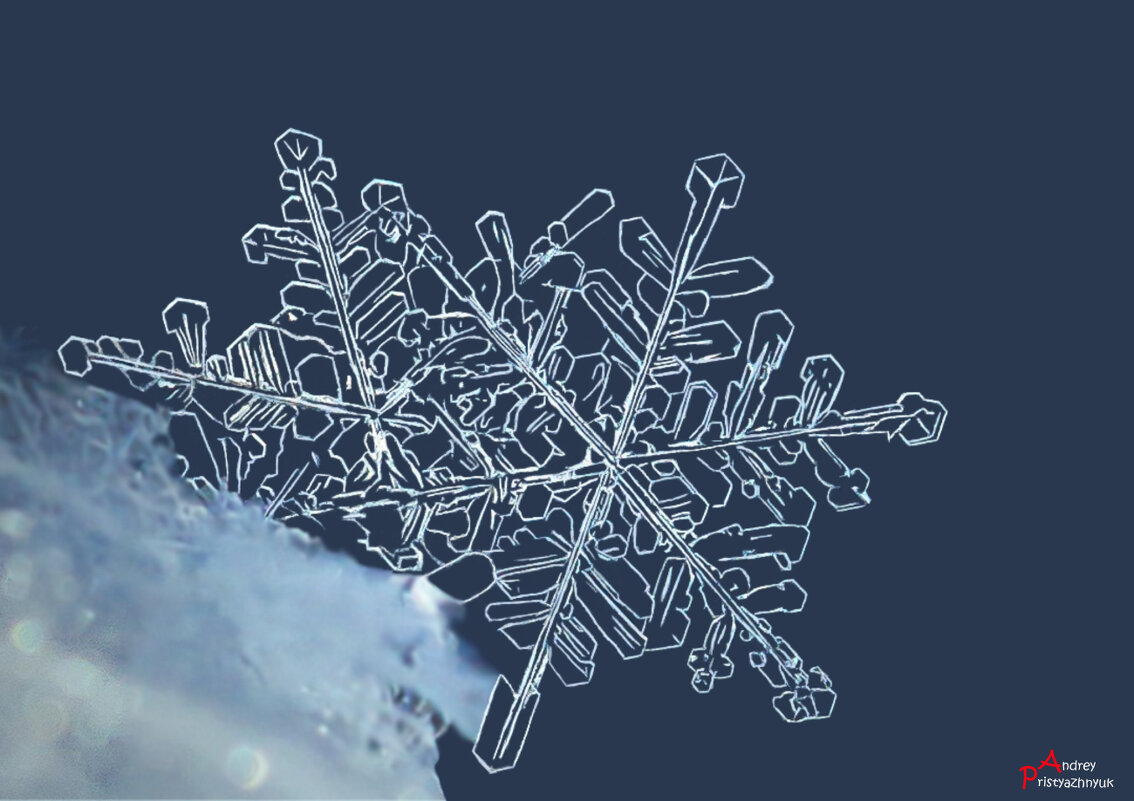 Снежинка - Андрей Пристяжнюк