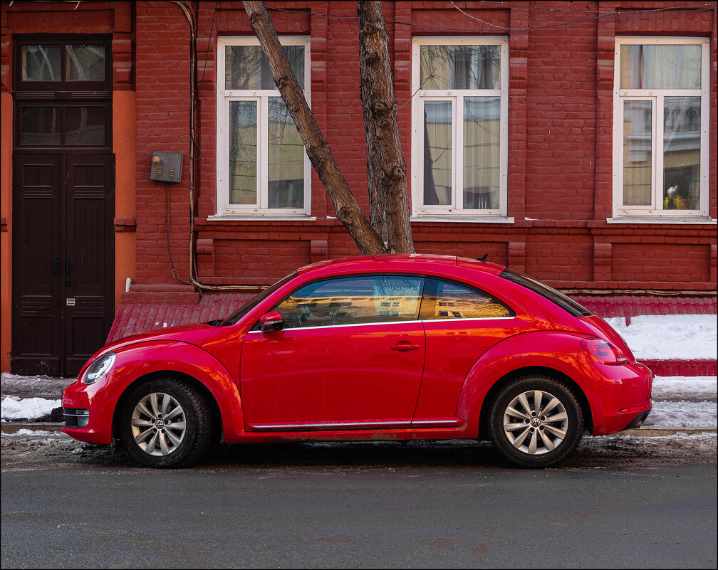 Красный ЖУК - Александр Тарноградский