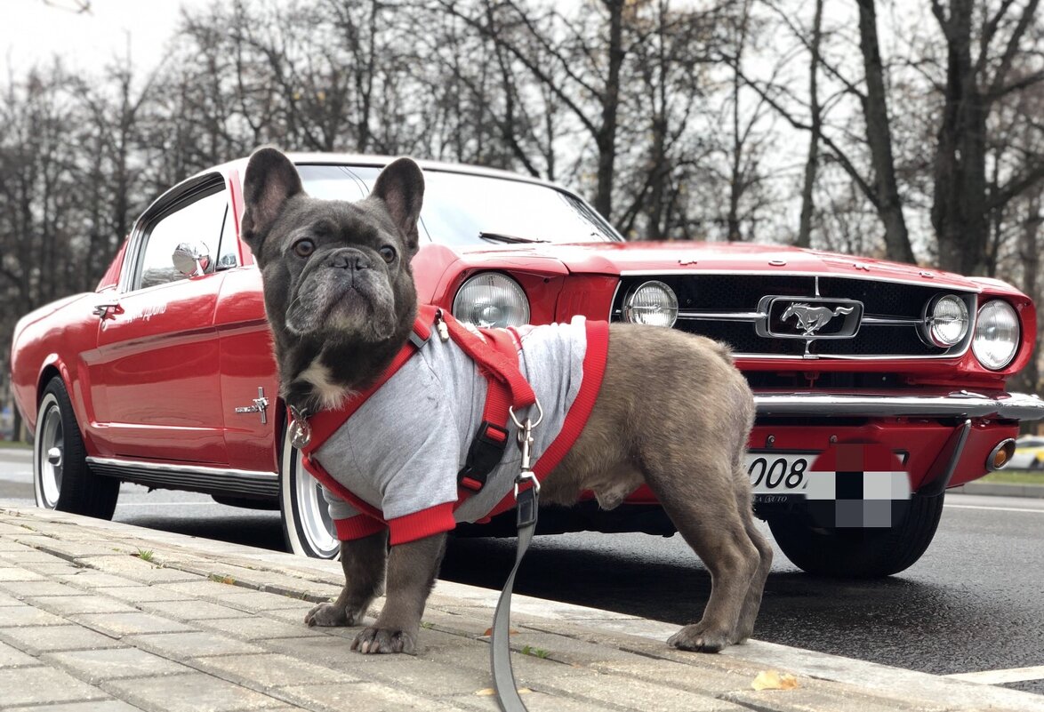 ❤️ - Анна Камс