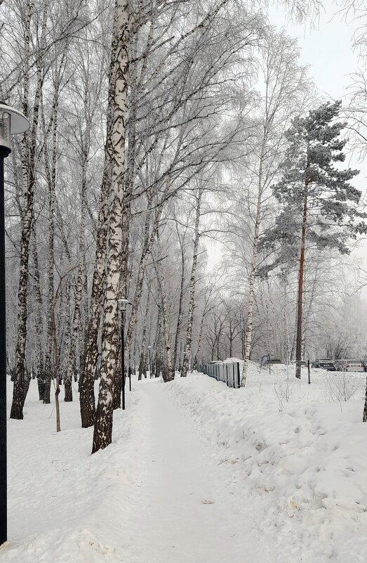 Пасмурное утро марта . - Мила Бовкун Пасмурное утро марта . - Мила Бовкун