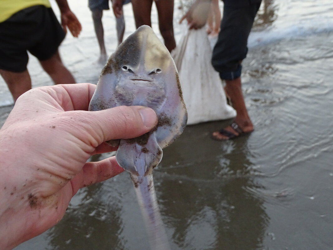 Отпусти меня, старче! - Павел Трунцев Отпусти меня, старче! - Павел Трунцев