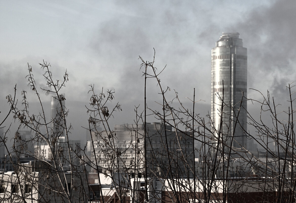 *** - Сергей Сергеев