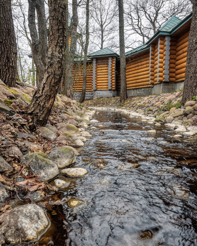 Вешние воды - Владимир Колесников
