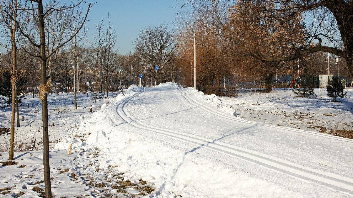 Лыжня в парке - Тамара Вебер