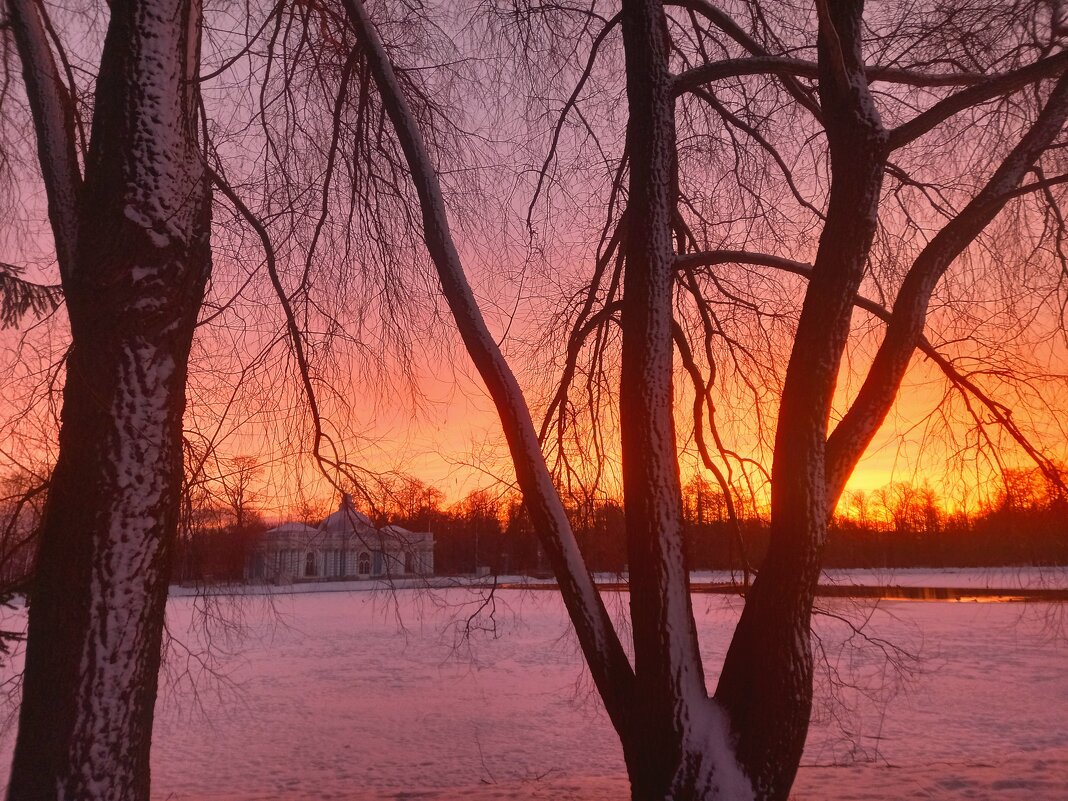 Рассвет - Сапсан 