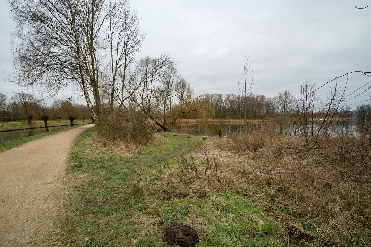 Январское... - Николай Гирш Январское... - Николай Гирш