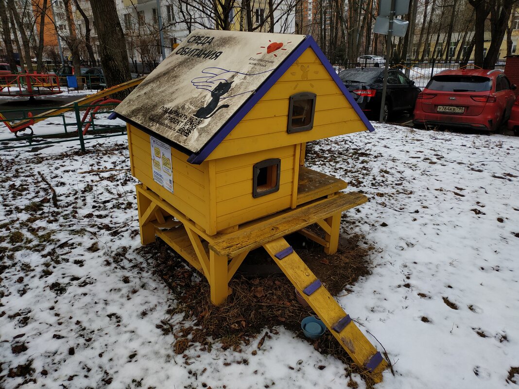 * * * - Андрей Лукьянов * * * - Андрей Лукьянов