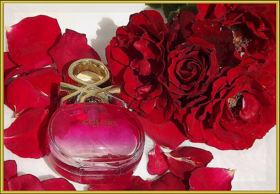 Духи и розы! - Нина Андронова