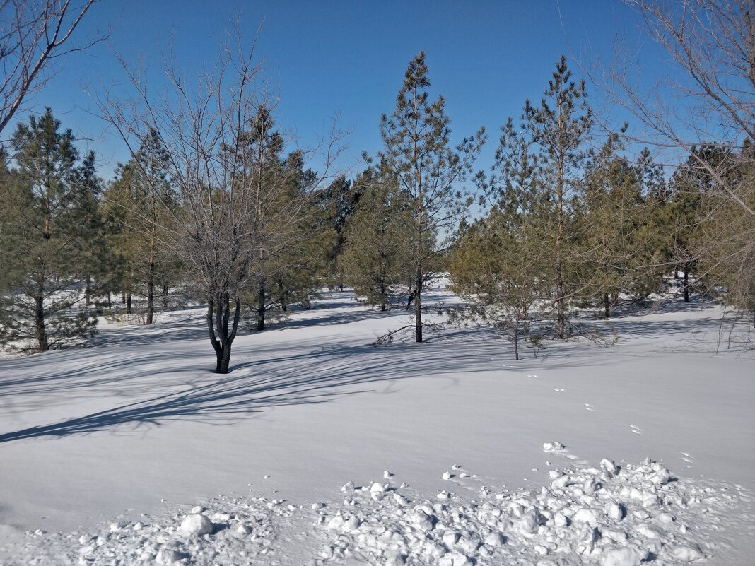 Воскресное утро марта - Андрей Хлопонин Воскресное утро марта - Андрей Хлопонин