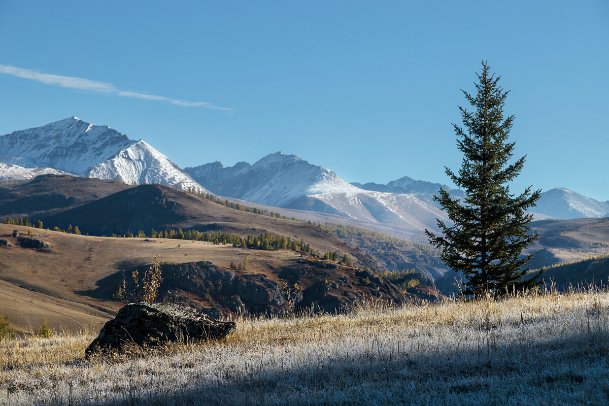 Утренняя свежесть - Виктор Ковчин Утренняя свежесть - Виктор Ковчин