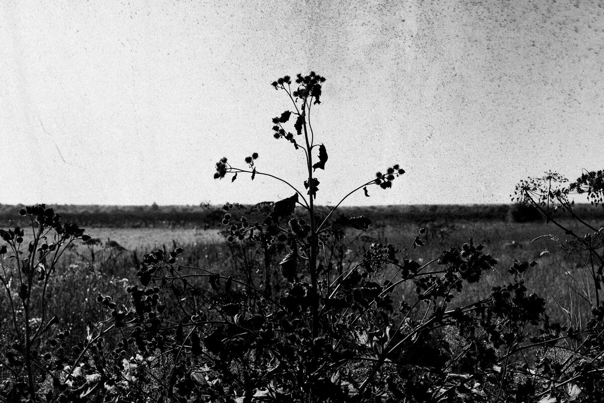 Название отсутствует - Денис Безногов