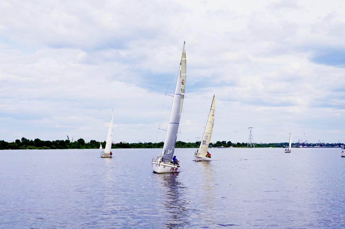 Нижегородская регата на Волге - Сергей Швечков Нижегородская регата на Волге - Сергей Швечков