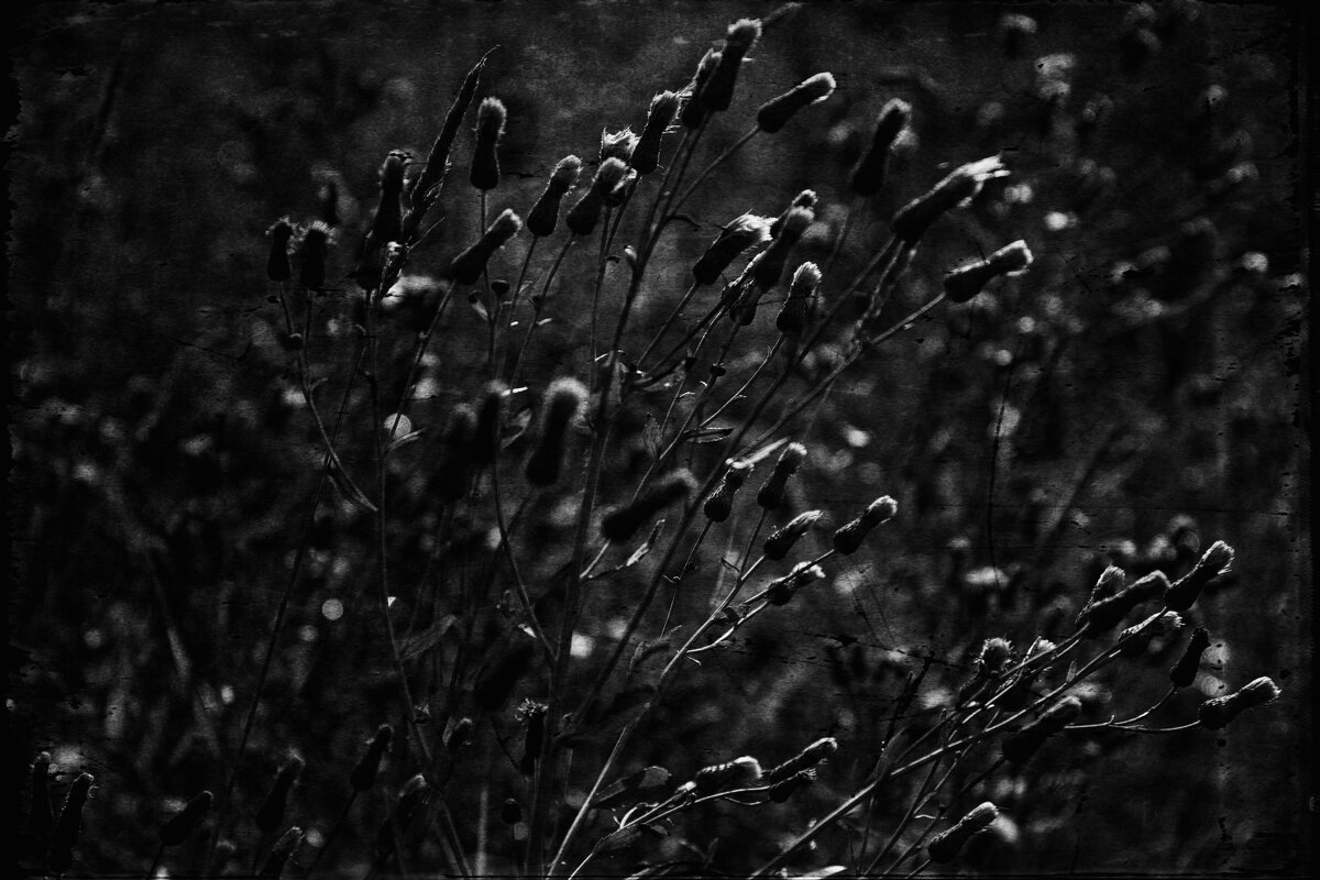 Название отсутствует - Денис Безногов