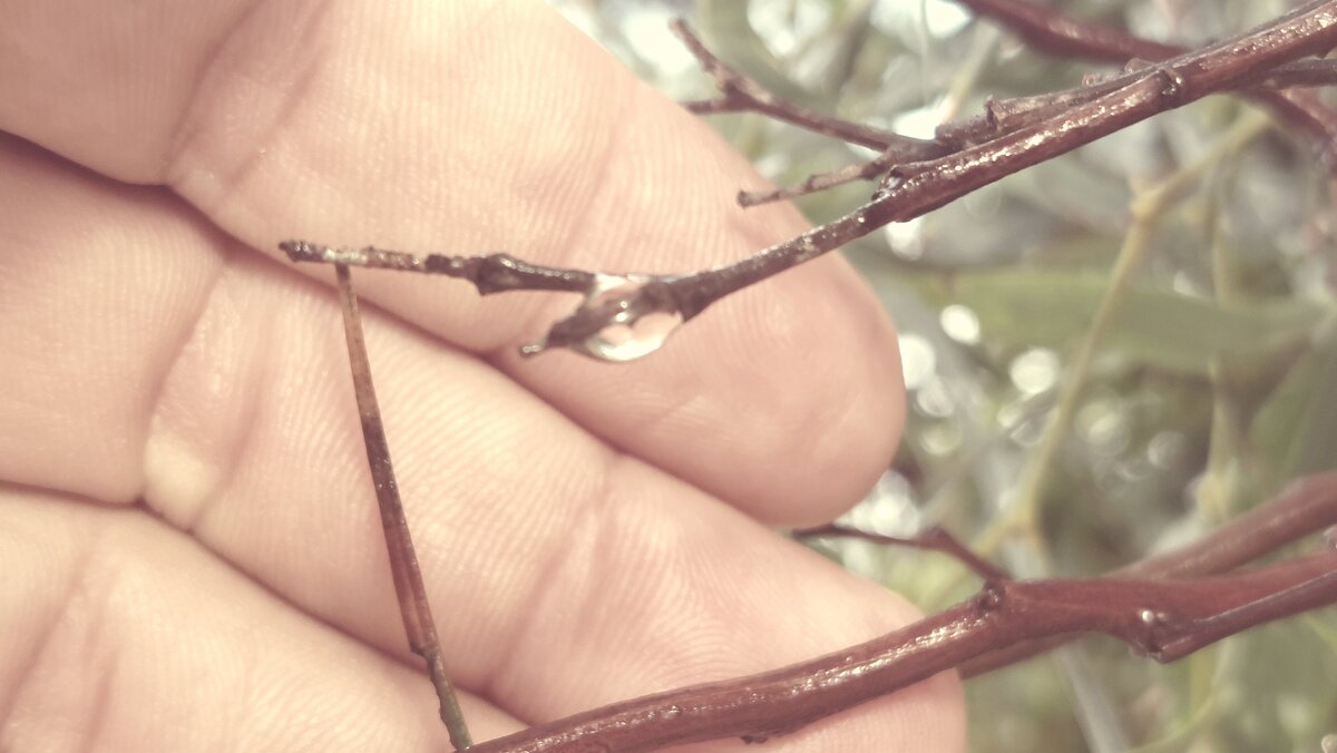 12 КЛОС (667) - CLOSE WAYS ALL 12 КЛОС (667) - CLOSE WAYS ALL