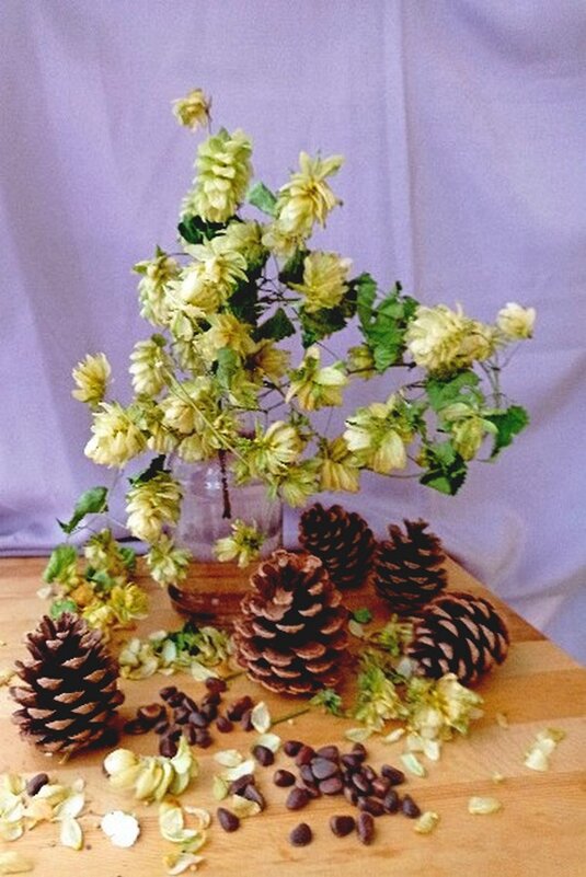 натюрморт - ivana 