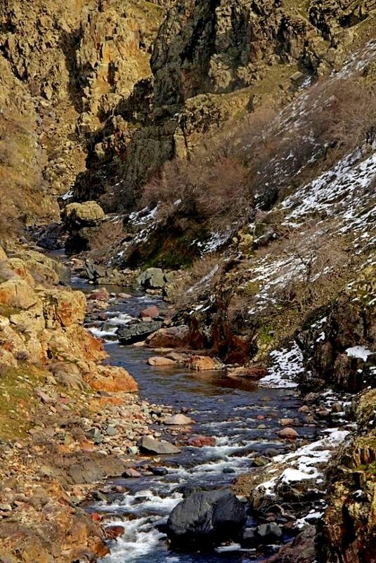 ГОРНАЯ ПРОГУЛКА. - Виктор Осипчук