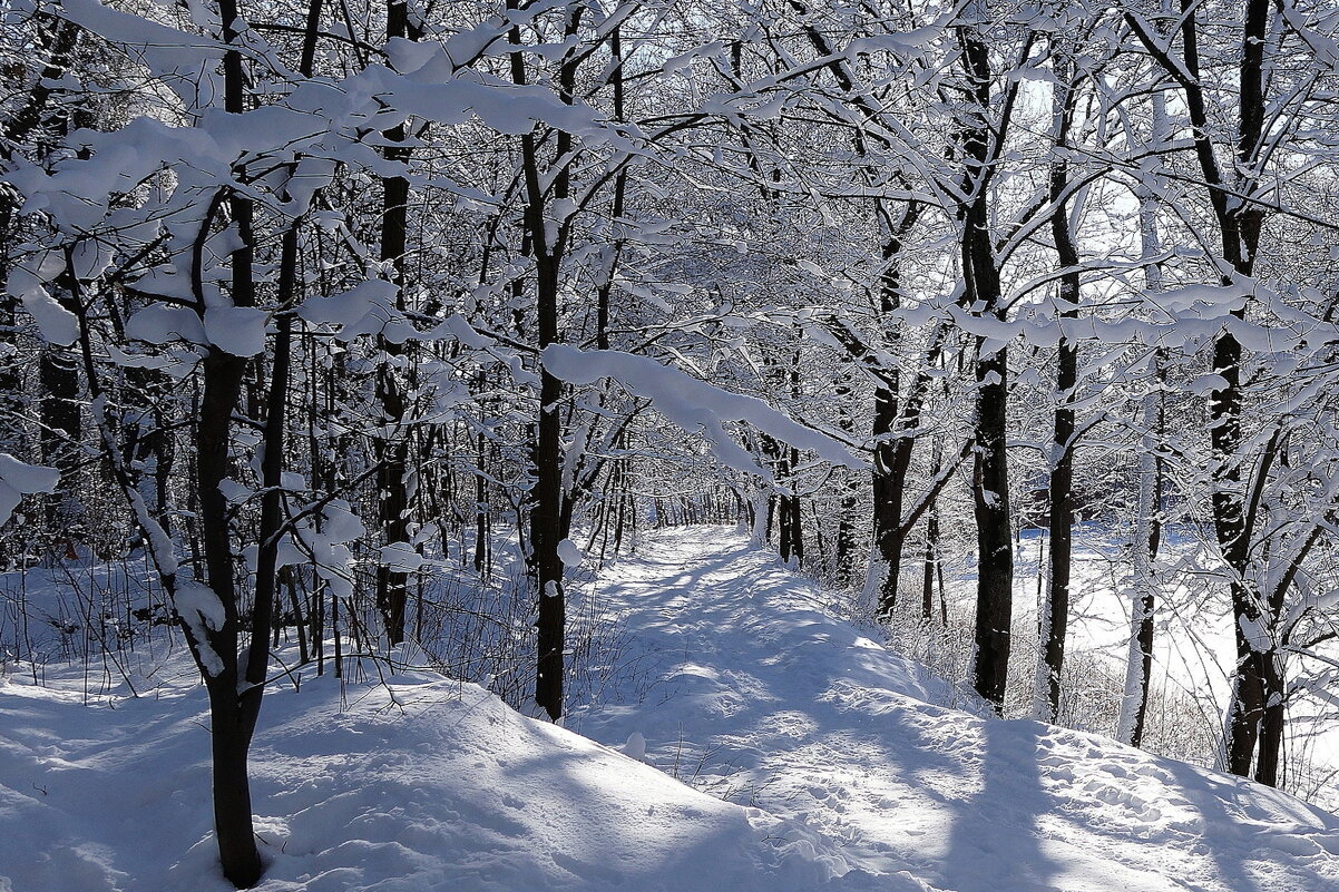 Февраль - Рита Симонова Февраль - Рита Симонова