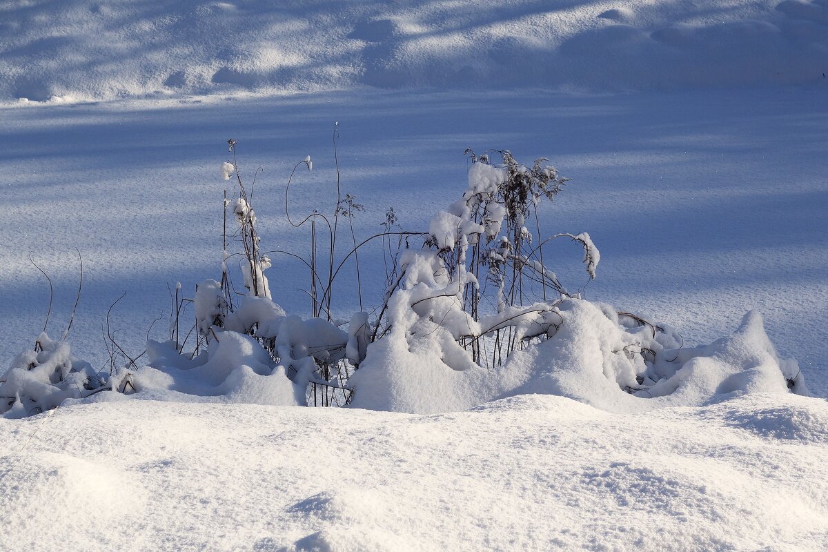 Февральский этюд - Рита Симонова