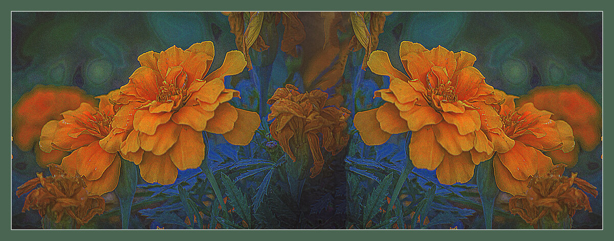 Цветение - Владимир Кроливец Цветение - Владимир Кроливец