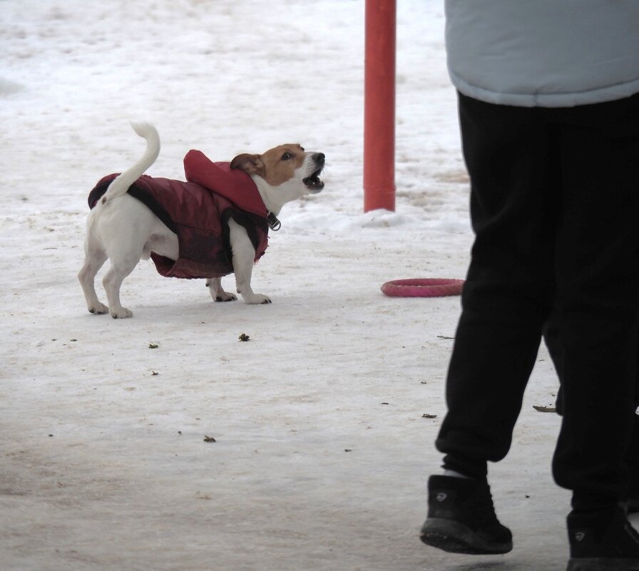 А поиграть? - Магомед .