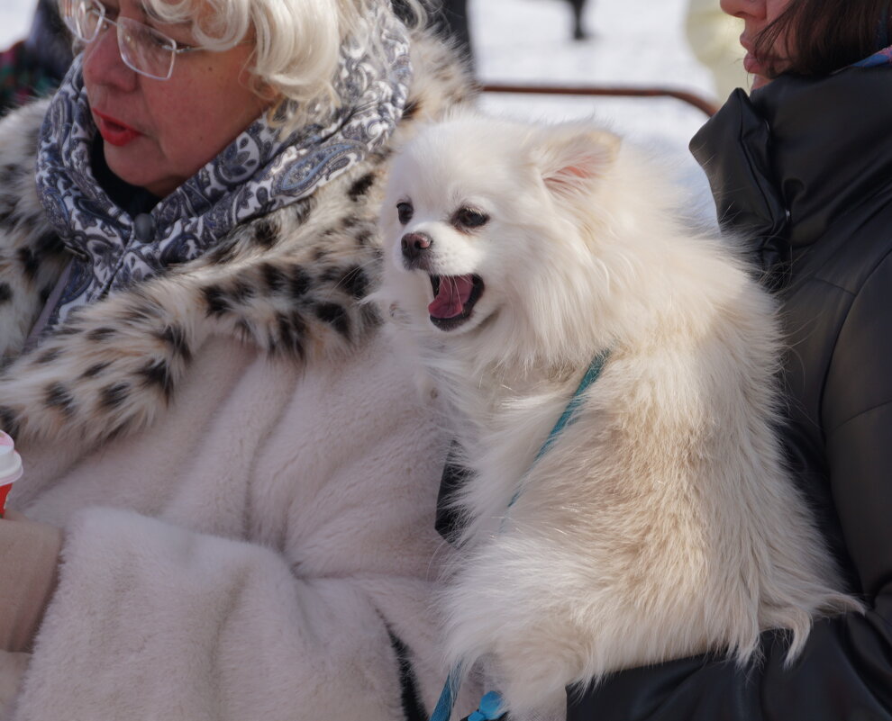 Вот это да!!! - Наталия Григорьева Вот это да!!! - Наталия Григорьева
