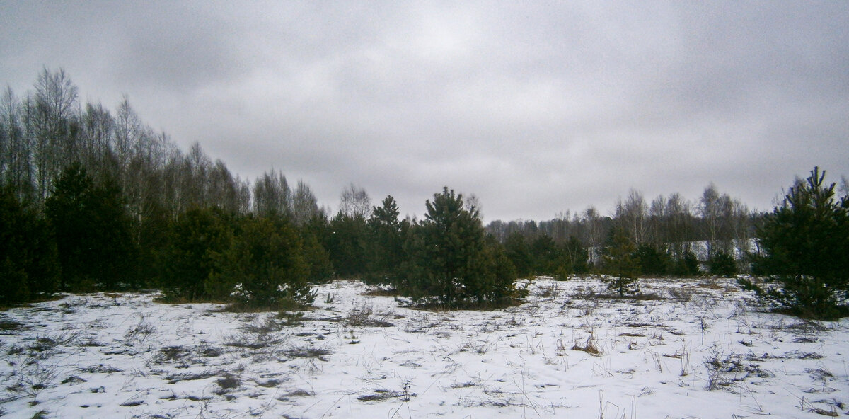 Весна - Sergei Vikulov Весна - Sergei Vikulov