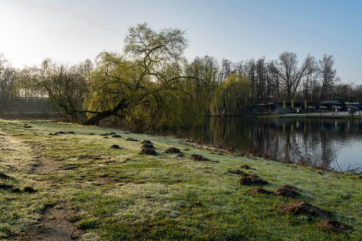 Свежесть утра... - Николай Гирш Свежесть утра... - Николай Гирш