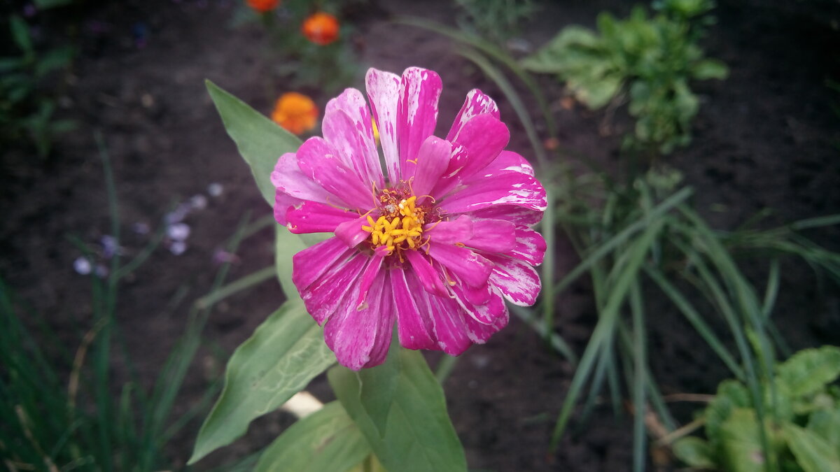 ,,, - Сергей Тимоновский