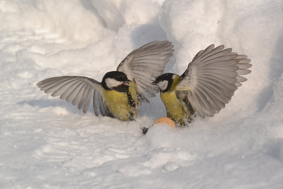 Поговорили... - Солоненко Лидия Поговорили... - Солоненко Лидия