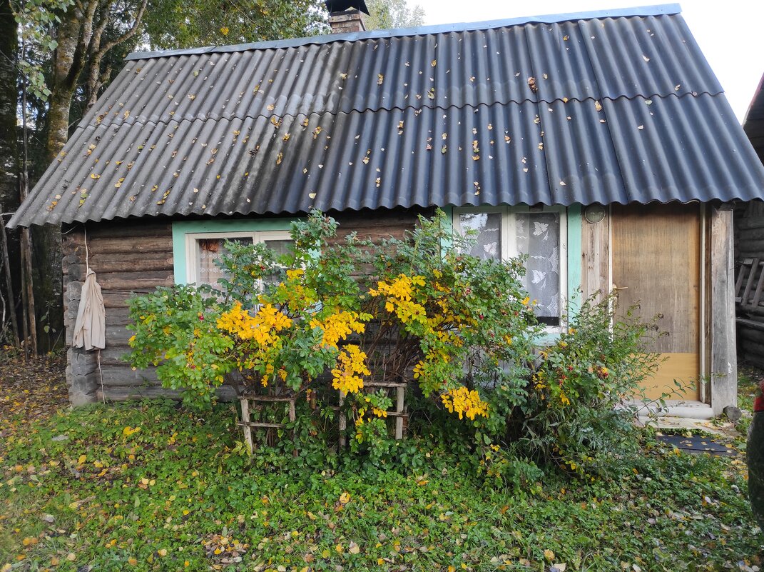 Воспоминание об осени - Игорь Ч. Воспоминание об осени - Игорь Ч.