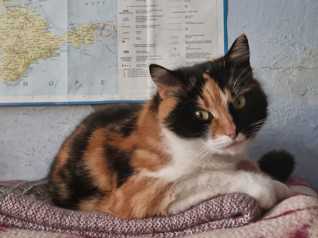 Настроение... - Наталья 