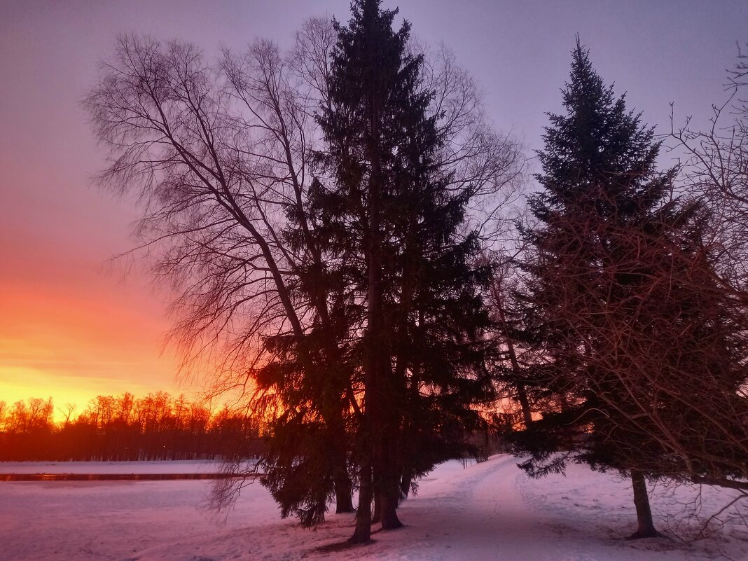 Рассвет - Сапсан 