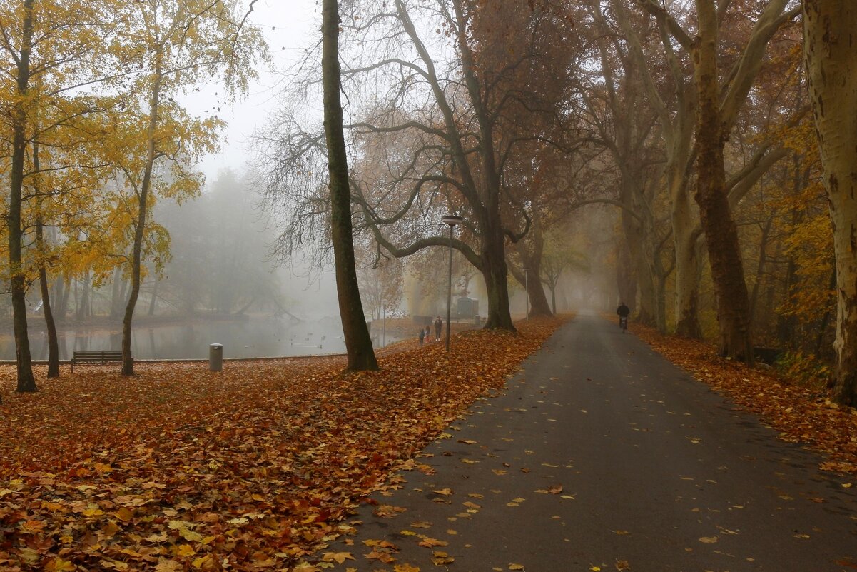В осеннем парке - Юрий. Шмаков