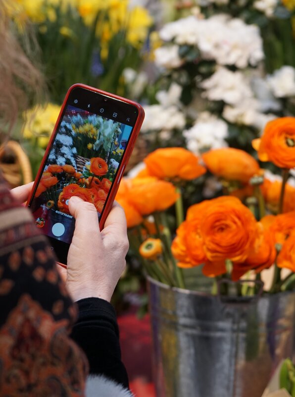 На какие устройства, помимо телефона, вы фотографируете? - александр На какие устройства, помимо телефона, вы фотографируете? - александр