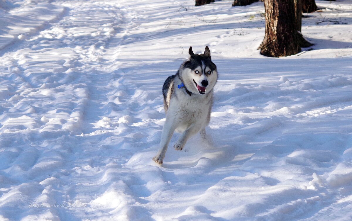 И с налёта, с поворота... - Ирина Баскакова И с налёта, с поворота... - Ирина Баскакова