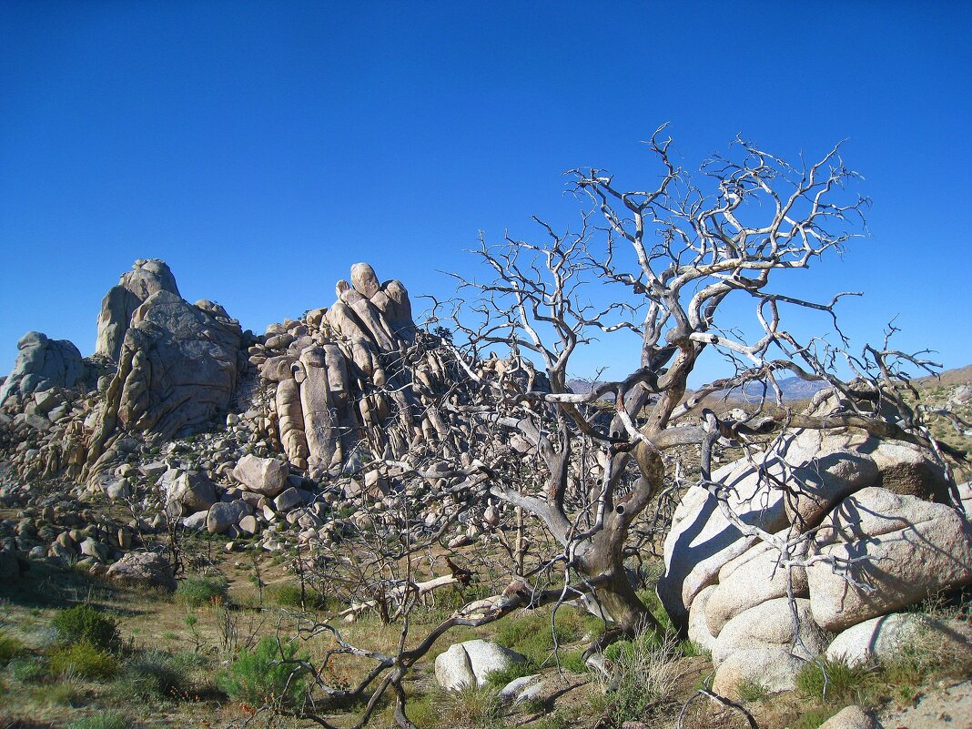 Кусочек штата Калифорния. - unix (Илья Утропов) Кусочек штата Калифорния. - unix (Илья Утропов)