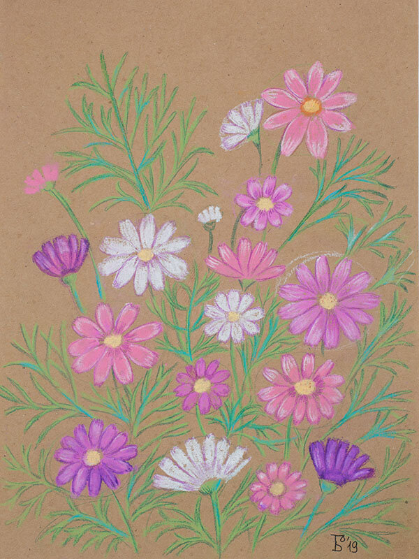 Космеи - Ольга Бекетова