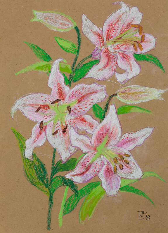 Лилии - Ольга Бекетова Лилии - Ольга Бекетова