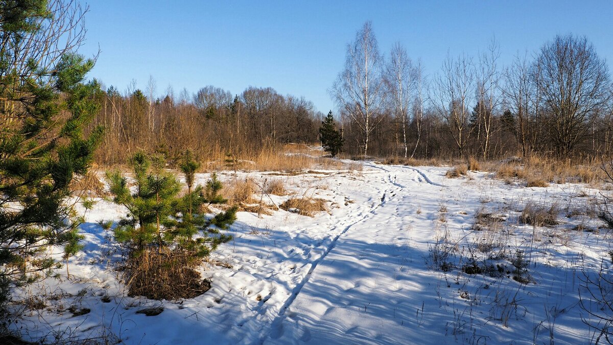За три дня до весны. - Милешкин Владимир Алексеевич За три дня до весны. - Милешкин Владимир Алексеевич