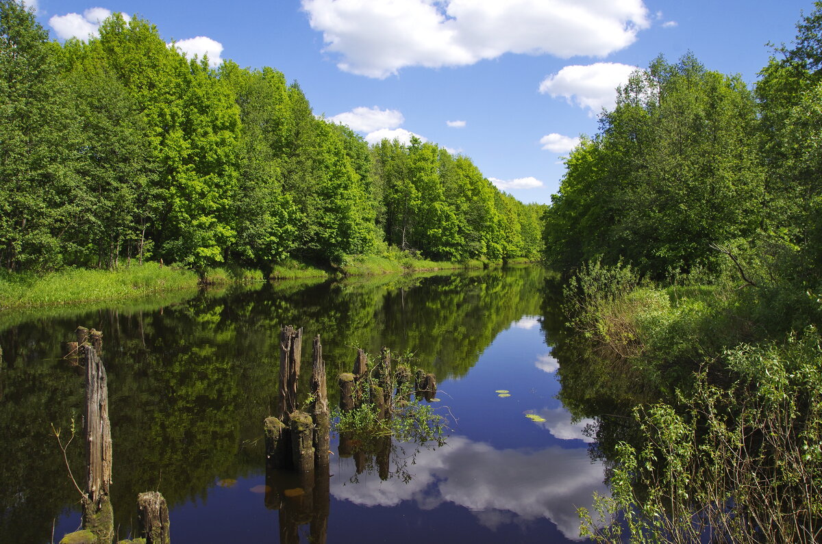 На реке - Сергей Швечков